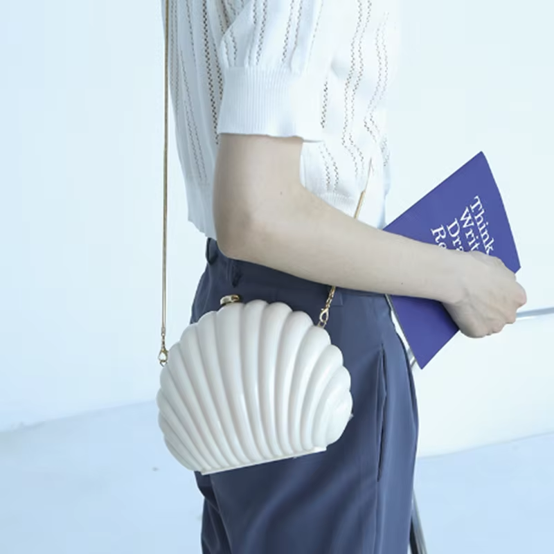 Lady Mini Shell Bag Acrylic Hi - Luxury Bags Cute のレビューと価格